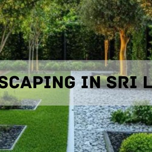 Landscaping in Sri Lanka